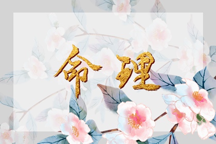 黄历2025黄道吉日查询_日历2025年黄道吉日_2025年老黄历黄道吉日
